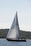 gumdrop gbr669t whyw24 sun 800 5196